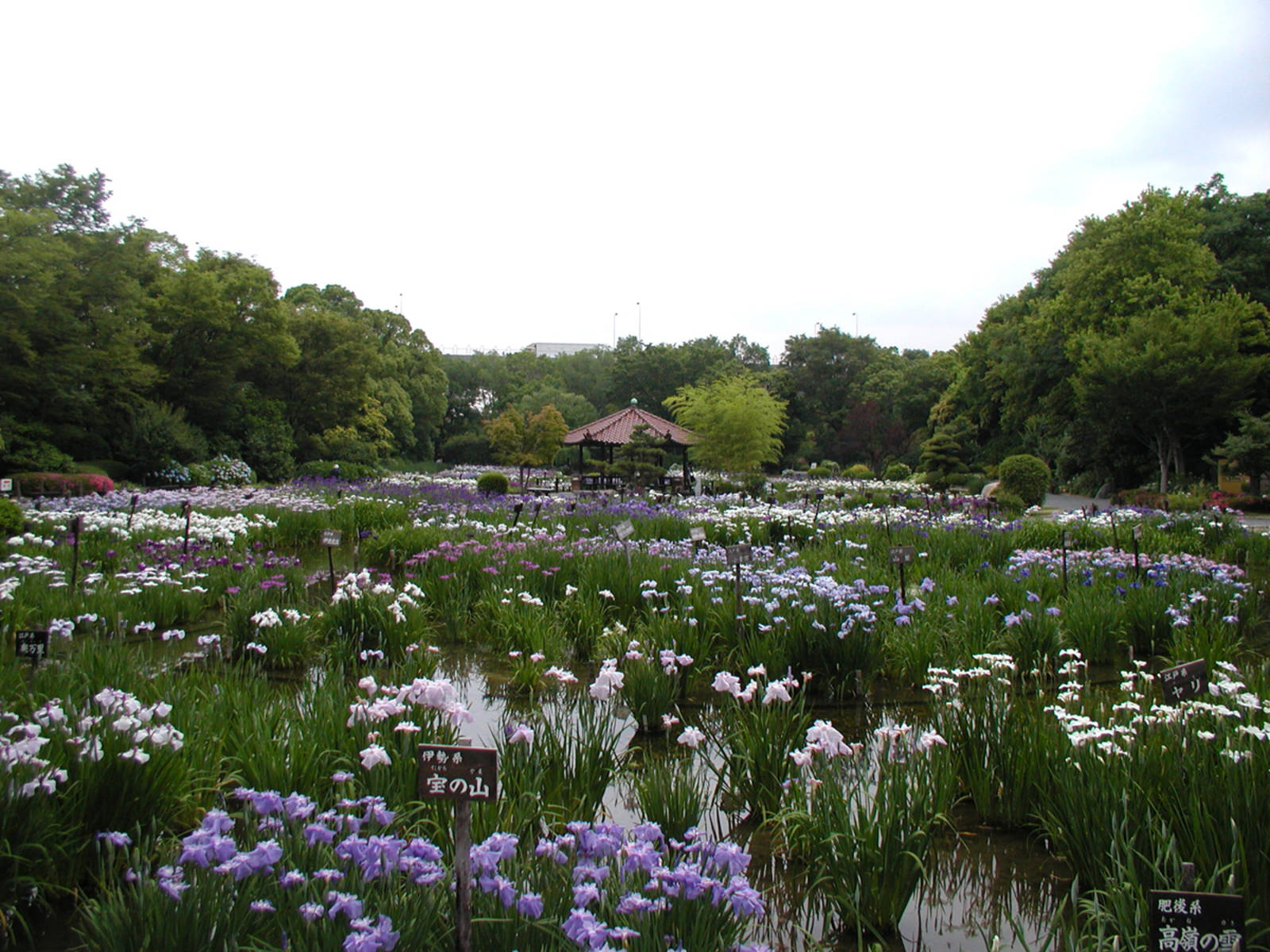 観光スポット・体験			  城北公園(しろきた公園)