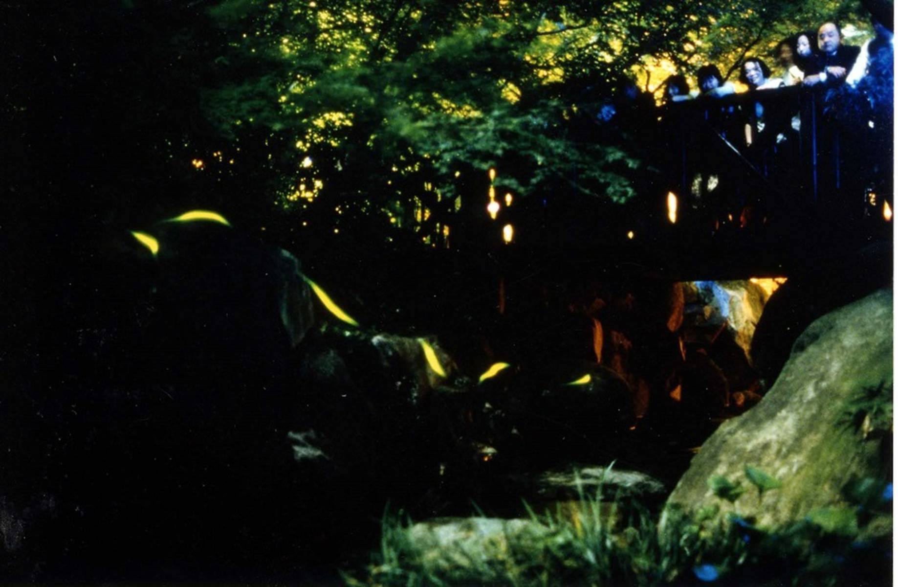 Image result for Nakashizen no Mori