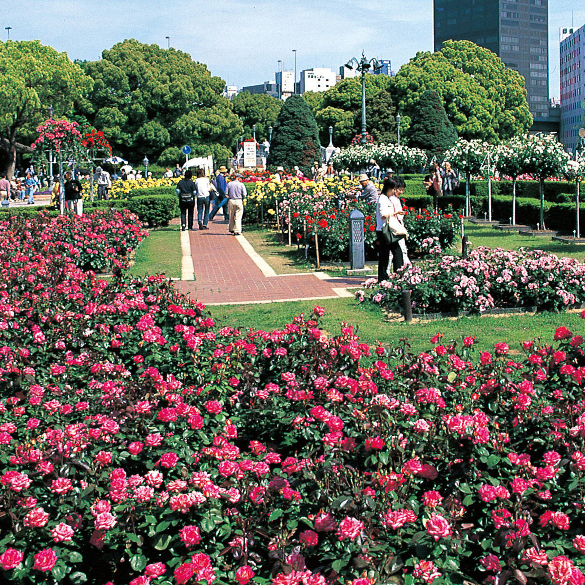 中之島公園 OSAKAINFO 中之島公園 OSAKAINFO