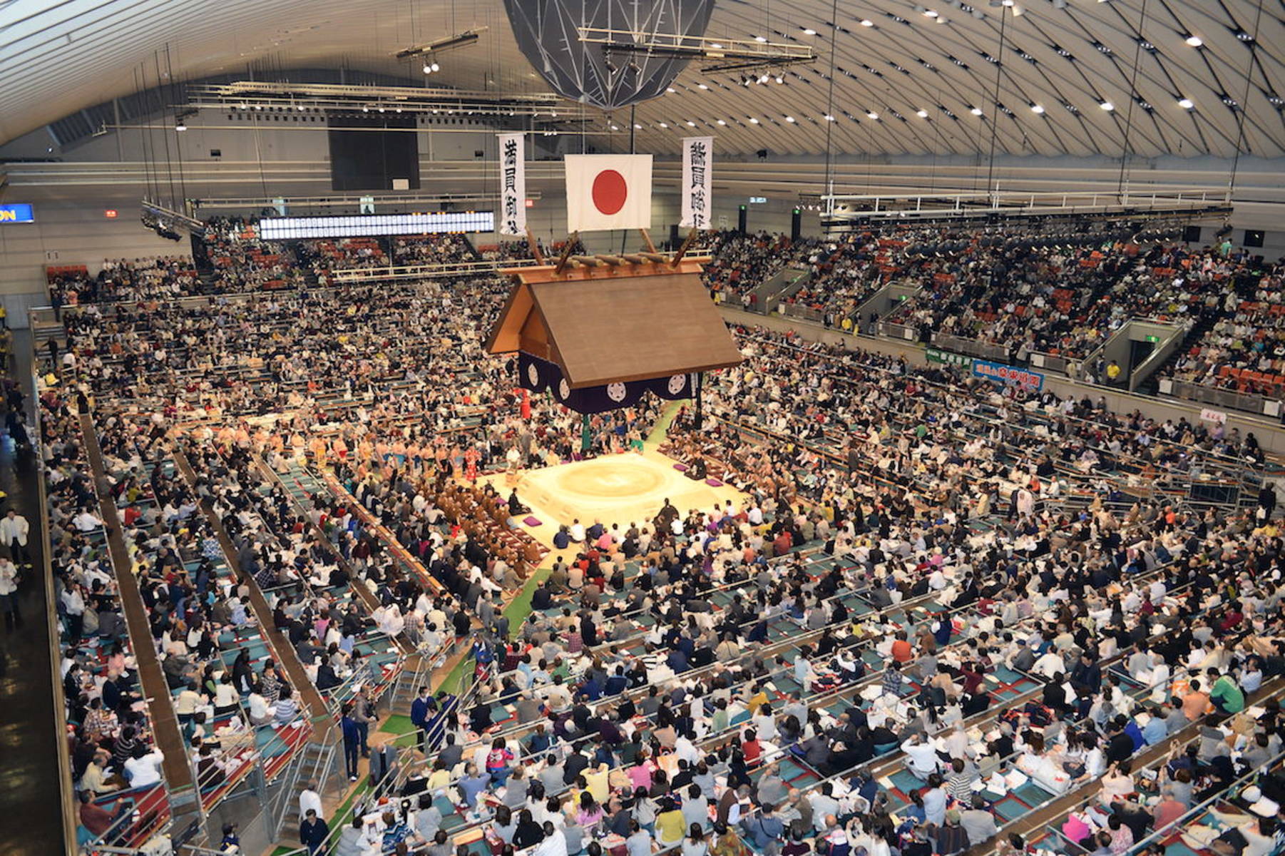 오사카의 스모 OSAKAINFO