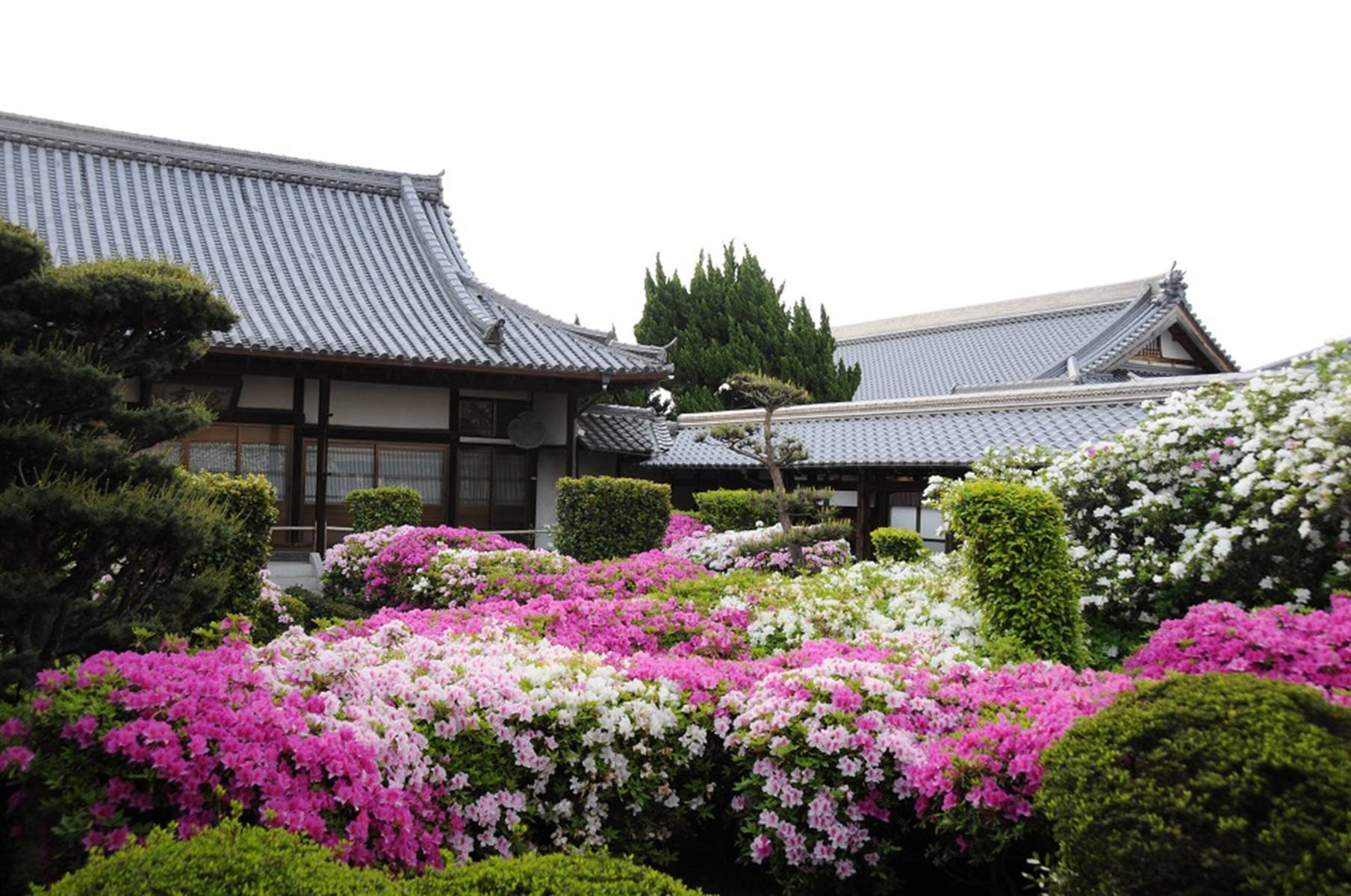 法雲寺(法雲禅寺) OSAKAINFO