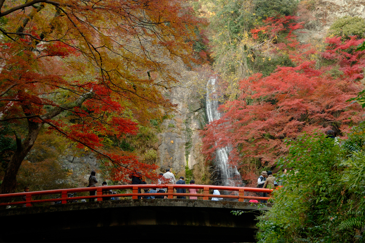 seasons-autumn_th_001.jpg
