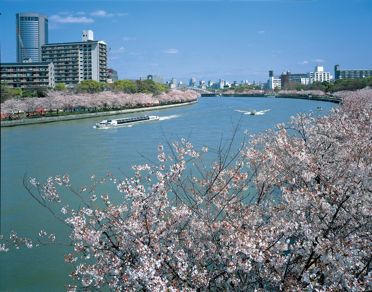 seasons-spring_ko_001.jpg
