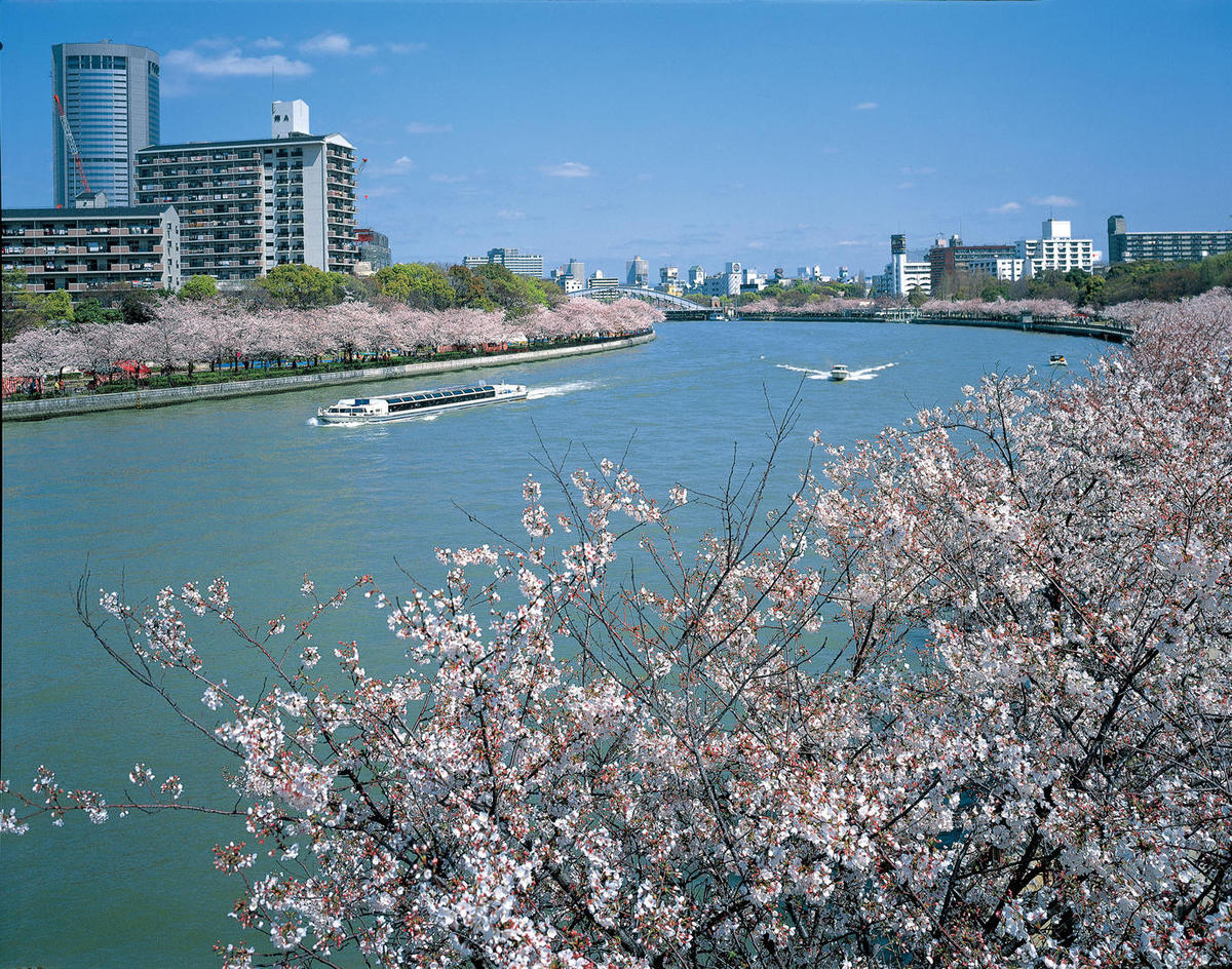 seasons-spring_zh-CN_001.jpg